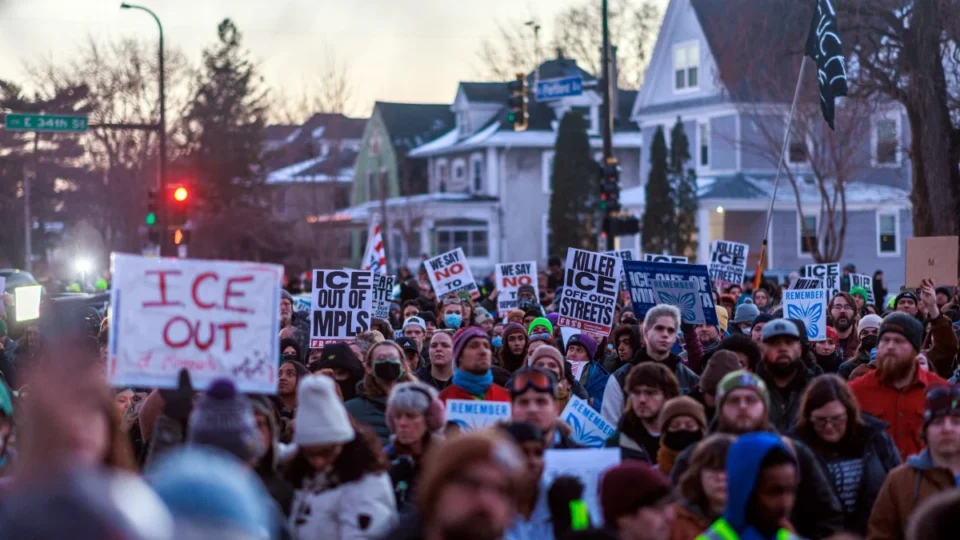 DEMOCRACIA A “FRUTINHA RARA”