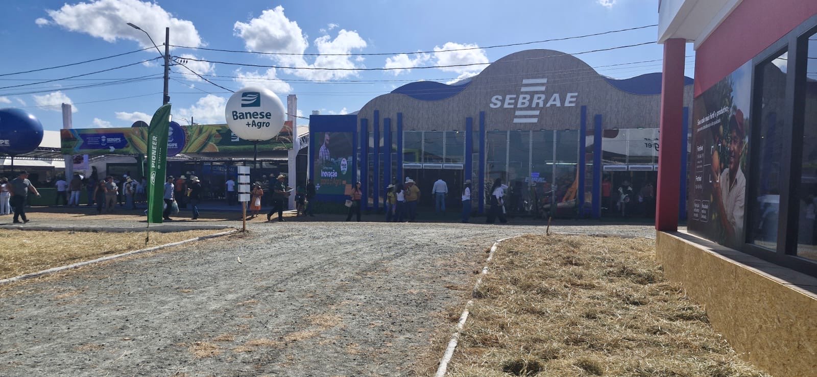 A MERDA NO VENTILADOR